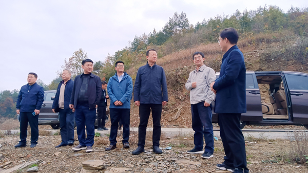 陜西科技控股集團有限責(zé)任公司黨委副書記、總經(jīng)理周吉峰一行赴紫陽縣蒿坪鎮(zhèn)調(diào)研鄉(xiāng)村振興示范鎮(zhèn)建設(shè)工作并看望慰問掛職干部